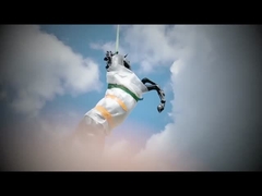 النحت البرونزي