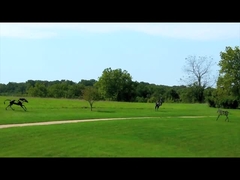 النحت البرونزي